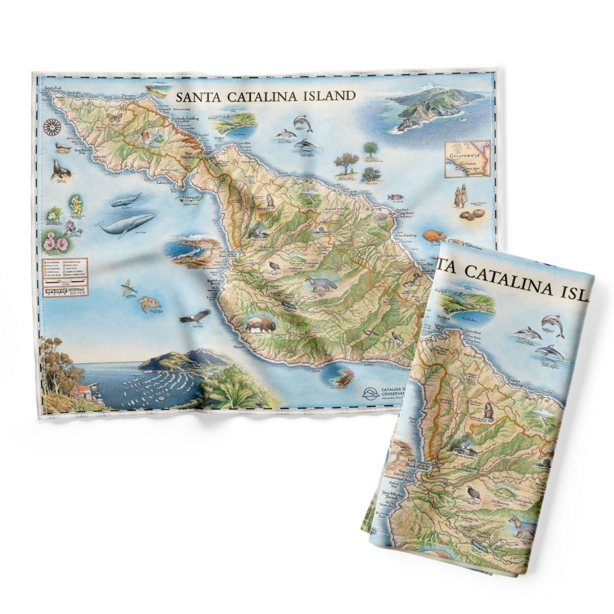 Picture of Xplorer Maps DT_CATI California's Santa Catalina Island Map Kitchen Towel