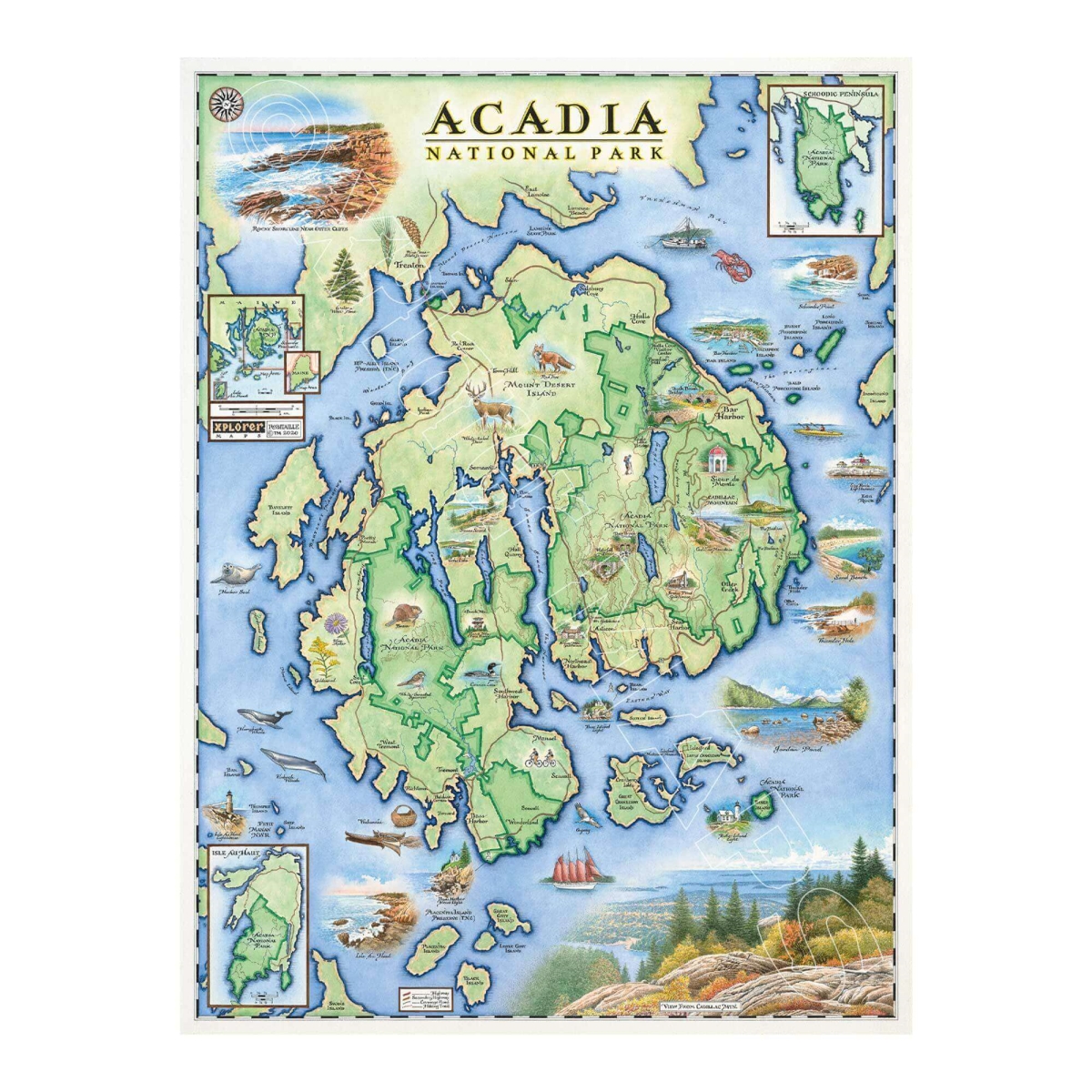 MAP_ACNP Acadia National Park Hand-Drawn Map