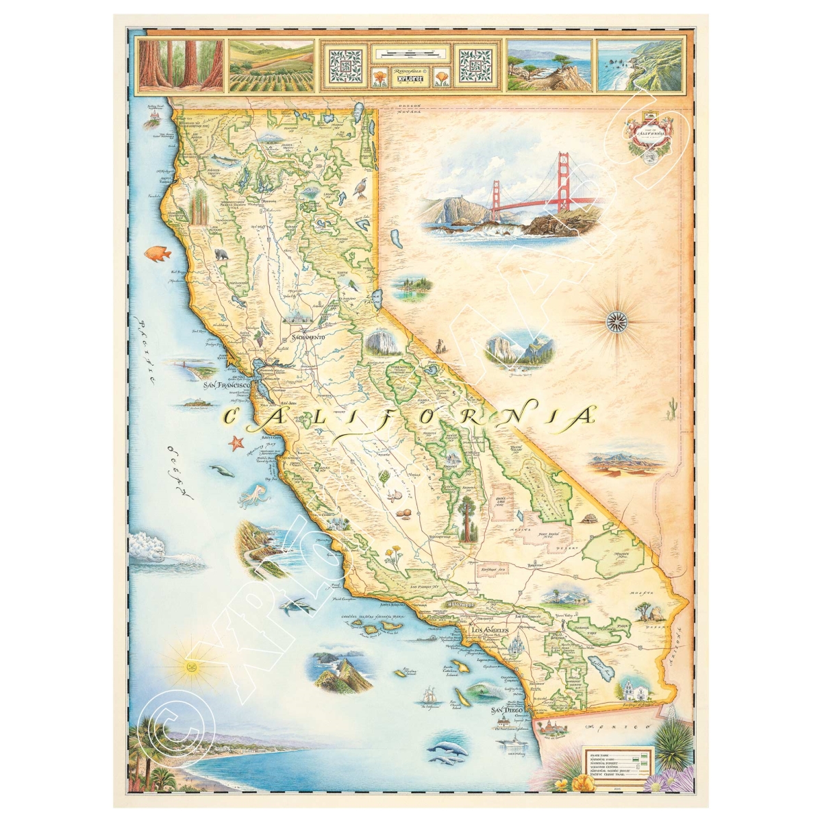 MAP_CA California State Hand-Drawn Map