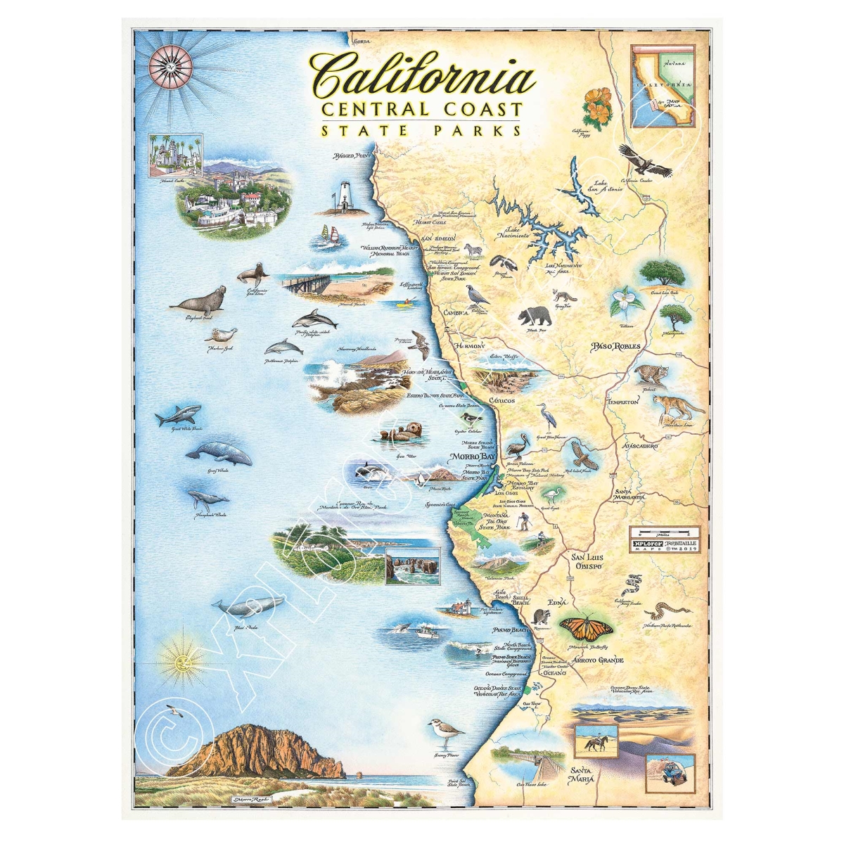 MAP_CCSP California Central Coast State Parks Hand-Drawn Map