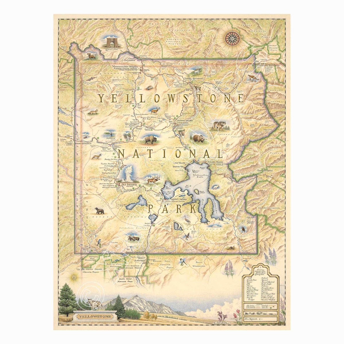 MAP_YWS Yellowstone National Park Hand-Drawn Map