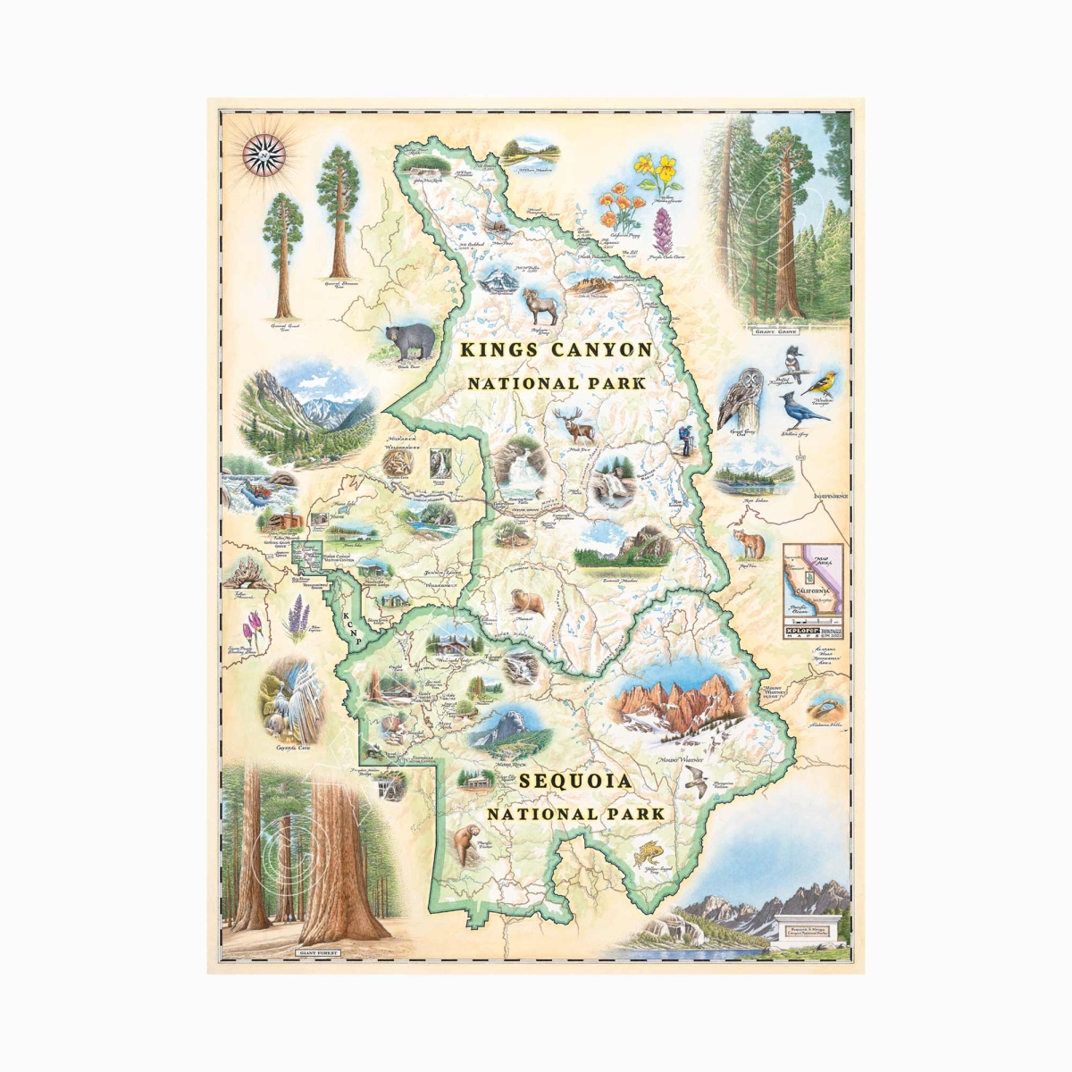 MAP_SKCNP Sequoia & Kings Canyon National Parks Hand-Drawn Map