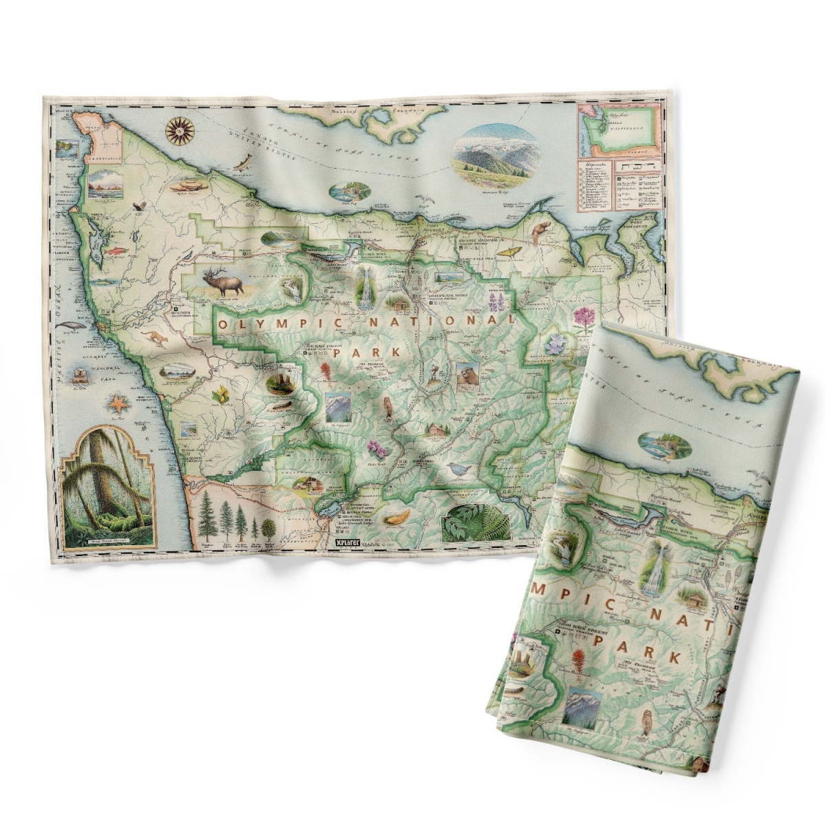 Picture of Xplorer Maps DT_OLY Olympic National Park Map Kitchen Towel
