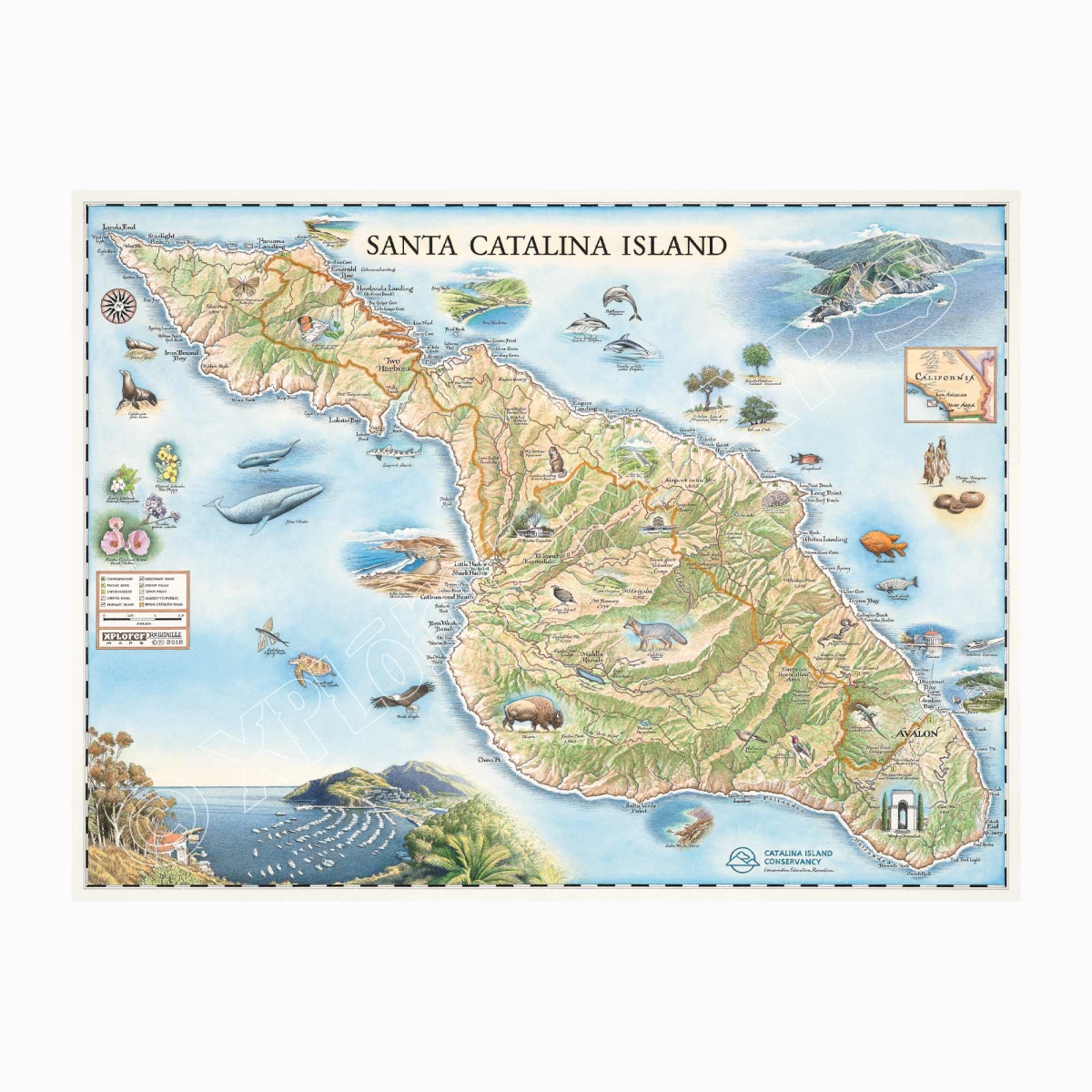 MAP_CATI Santa Catalina Island Hand-Drawn Map
