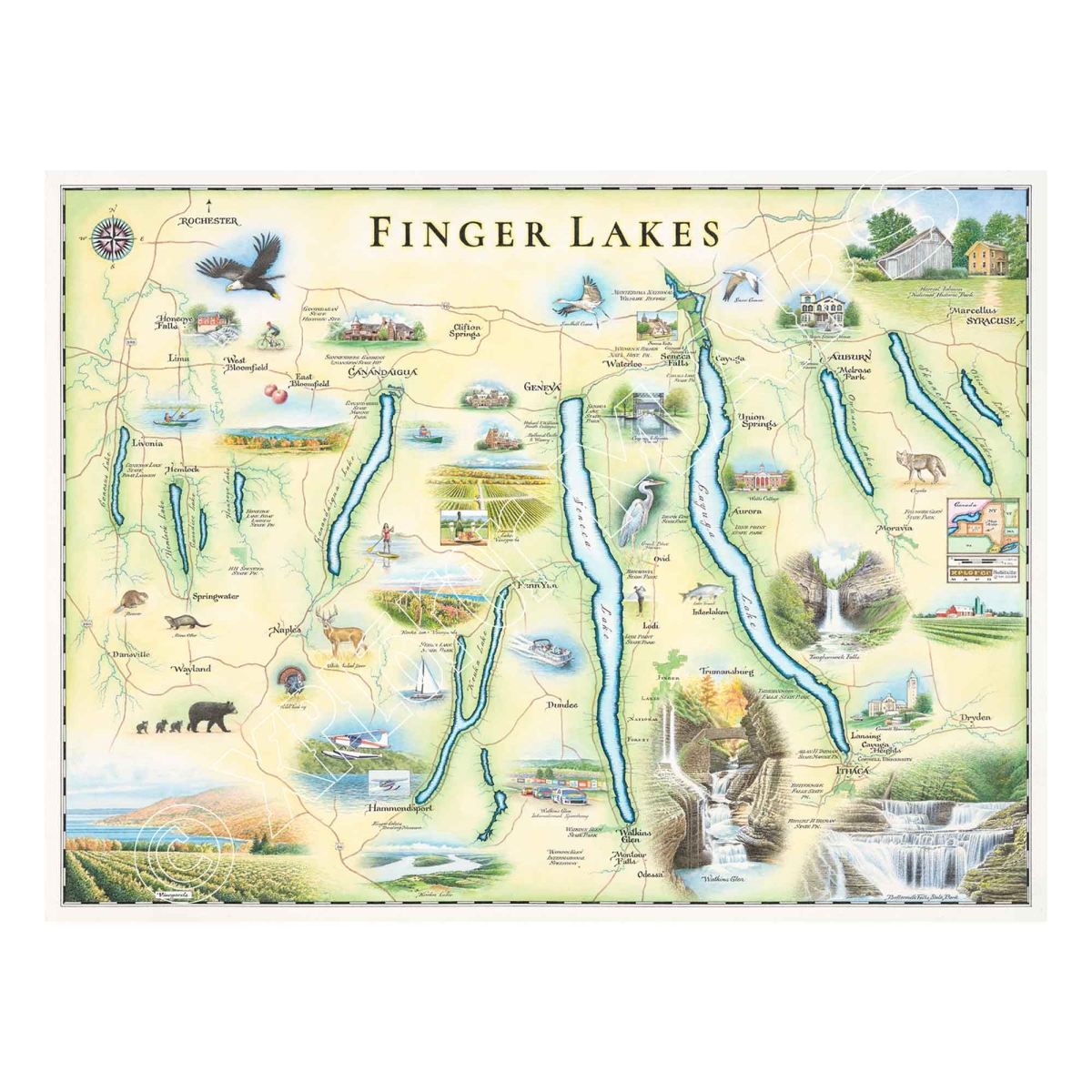MAP_FLX Finger Lakes Hand-Drawn Map