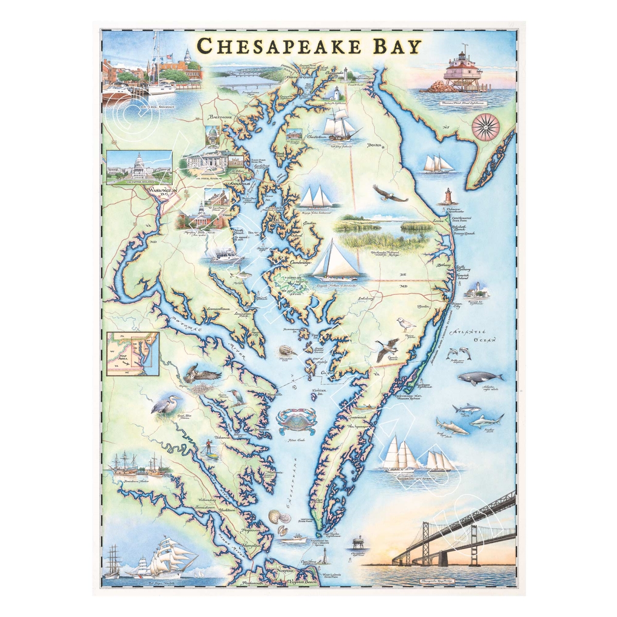 MAP_CB Chesapeake Bay Hand-Drawn Map