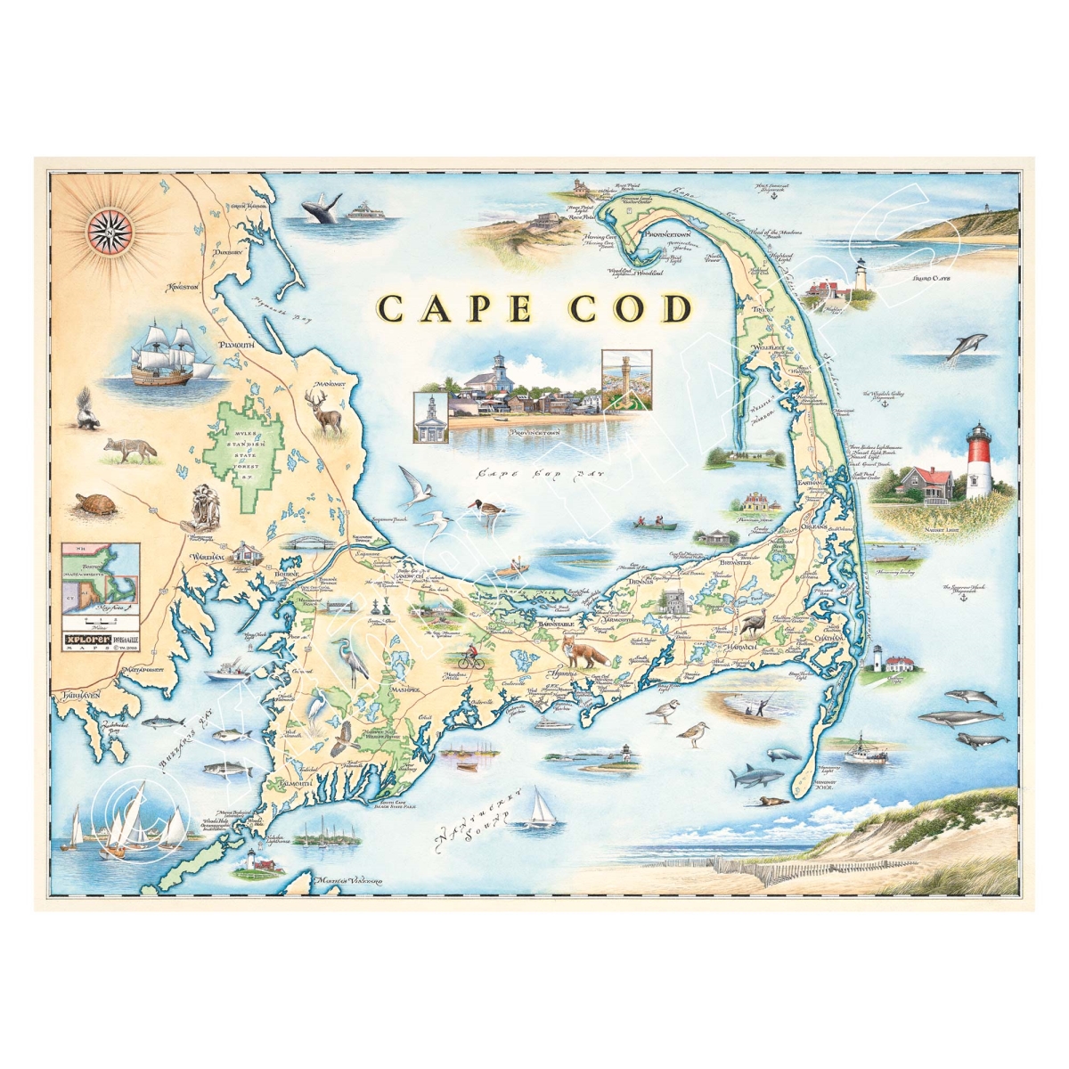 MAP_CC Cape Cod Hand-Drawn Map