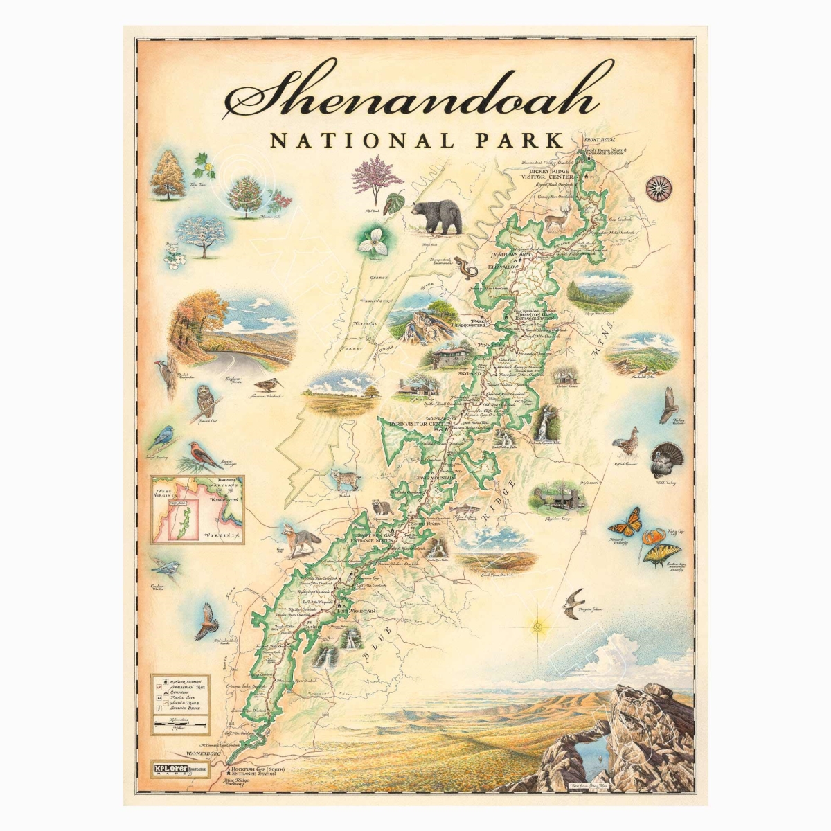 MAP_SHNP Shenandoah National Park Hand-Drawn Map