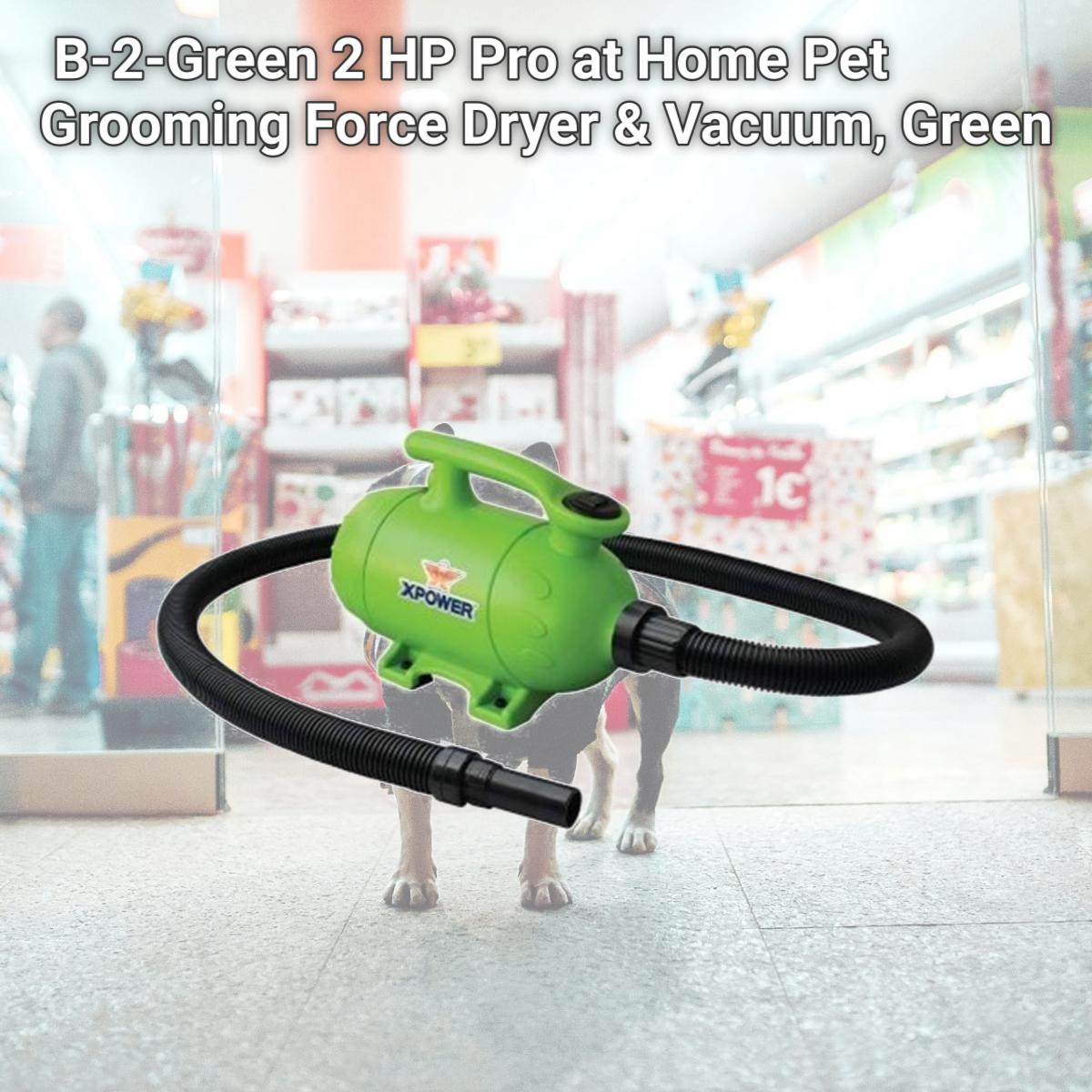 Picture of XPOWER Manufacture B-2-Green 2 HP Pro at Home Pet Grooming Force Dryer & Vacuum, Green