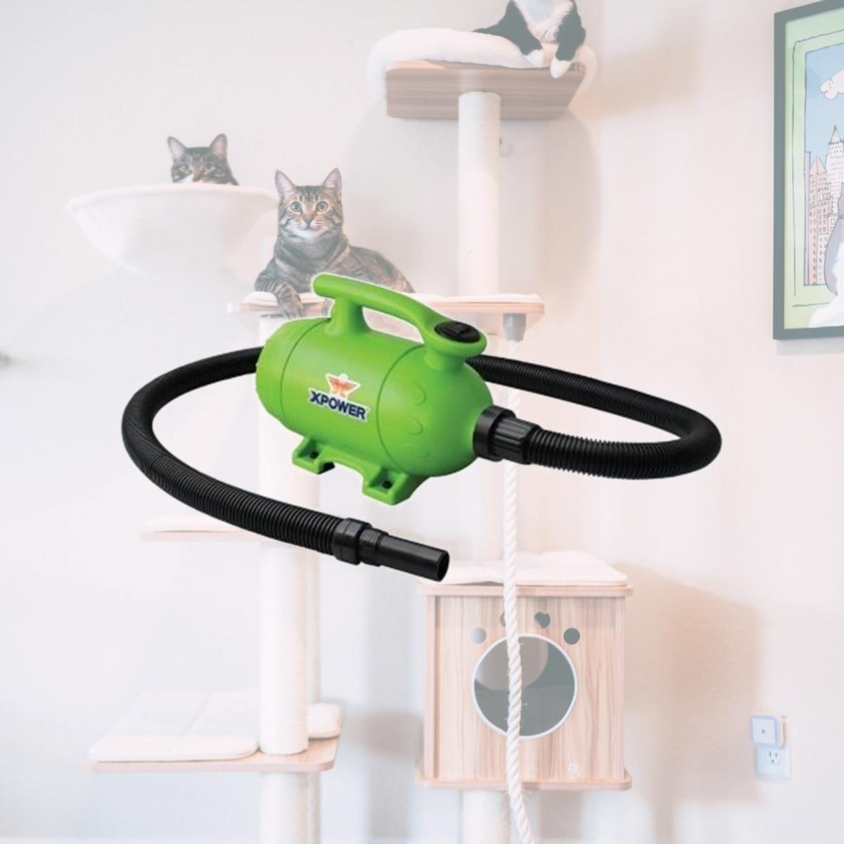Picture of XPOWER Manufacture B-2-Green 2 HP Pro at Home Pet Grooming Force Dryer & Vacuum, Green