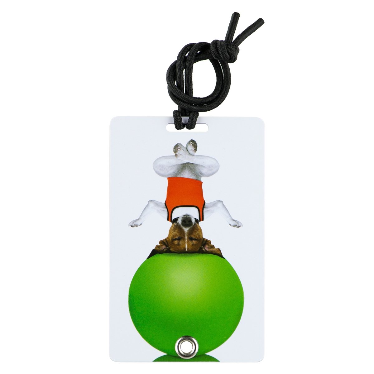 2001 Stylish & Secure Luggage Tag for Backpacks Pet Carriers & More - Serenity