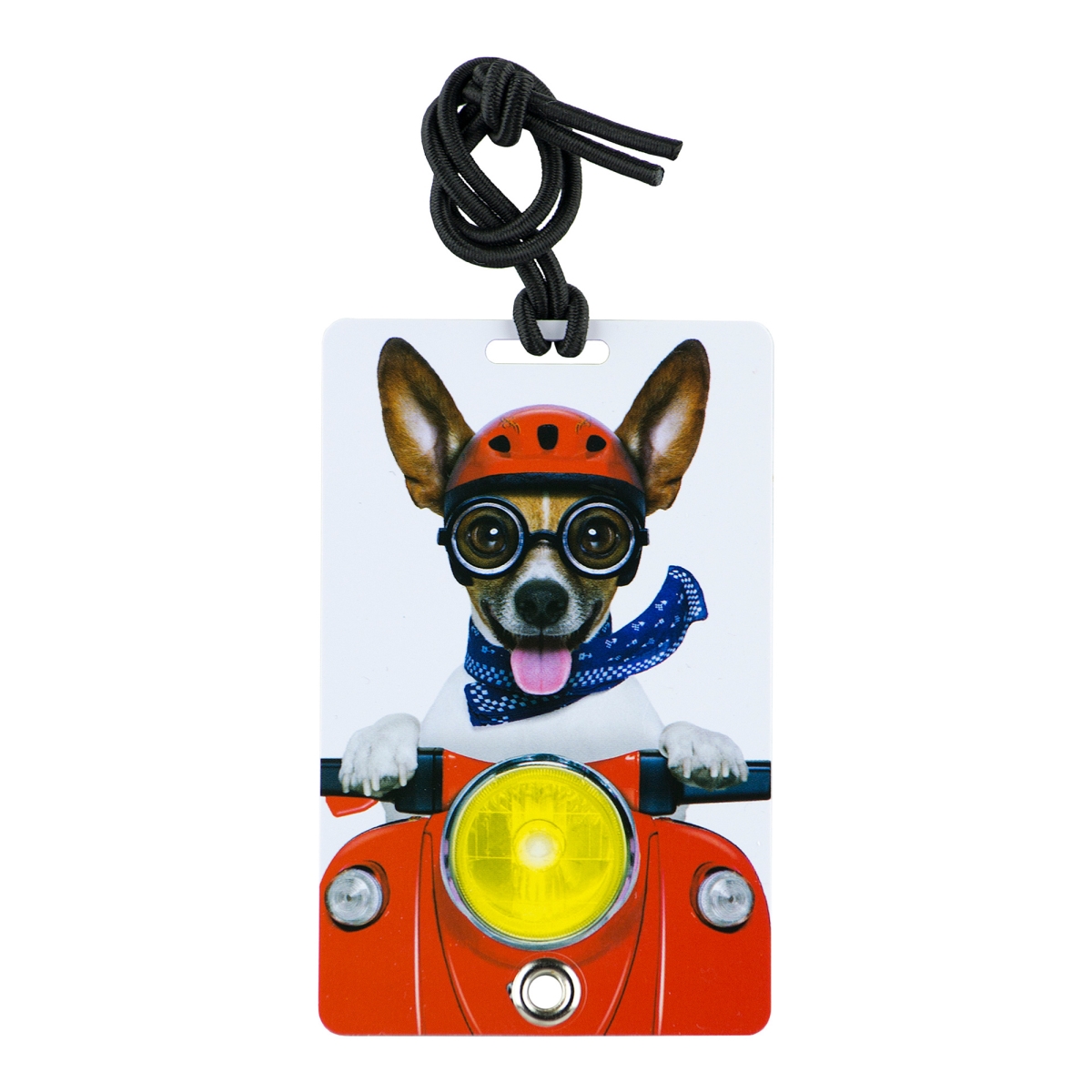 2024 Stylish & Secure Luggage Tag for Backpacks Pet Carriers & More - Dog Day