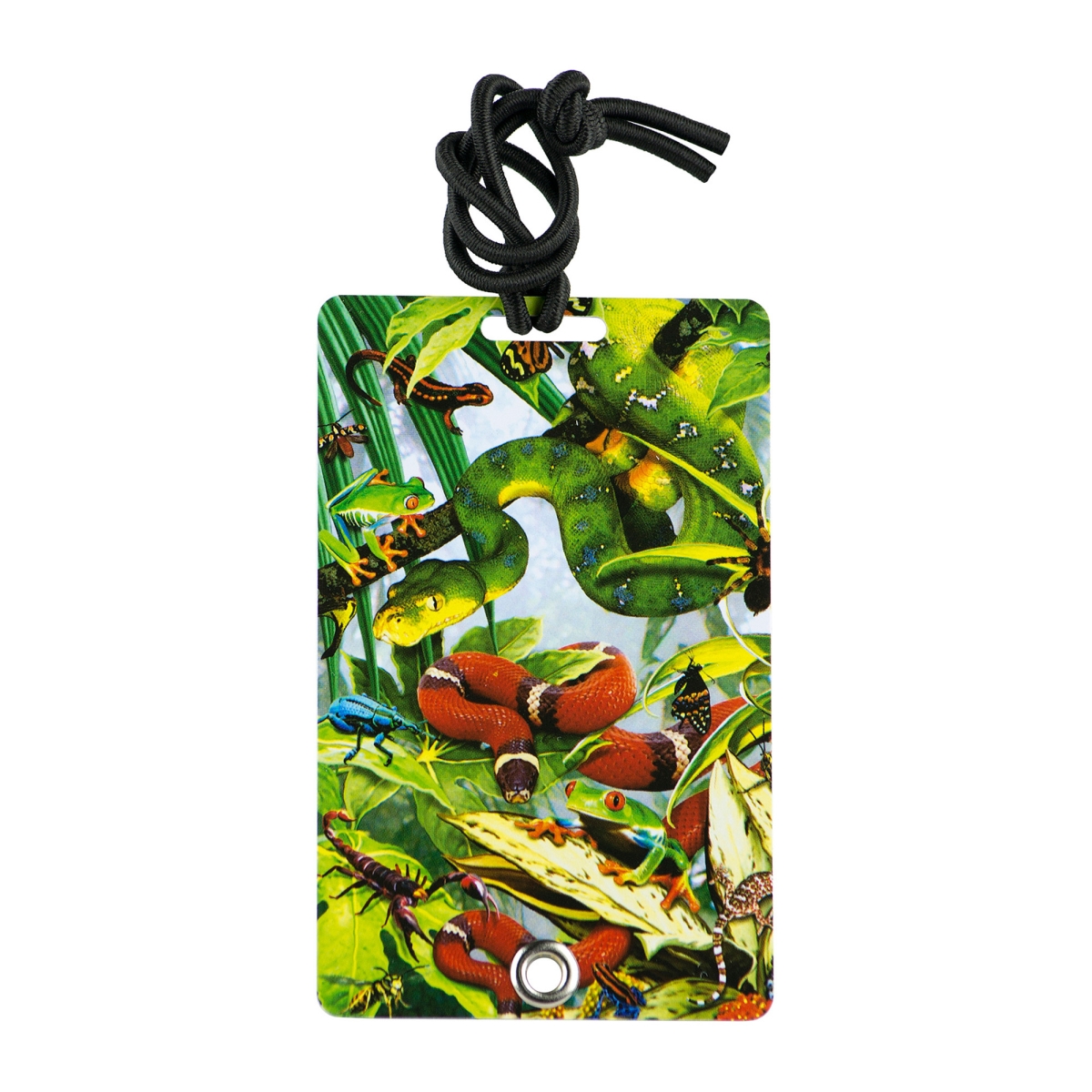 2036 Stylish & Secure Luggage Tag for Backpacks Pet Carriers & More - Scary Creatures