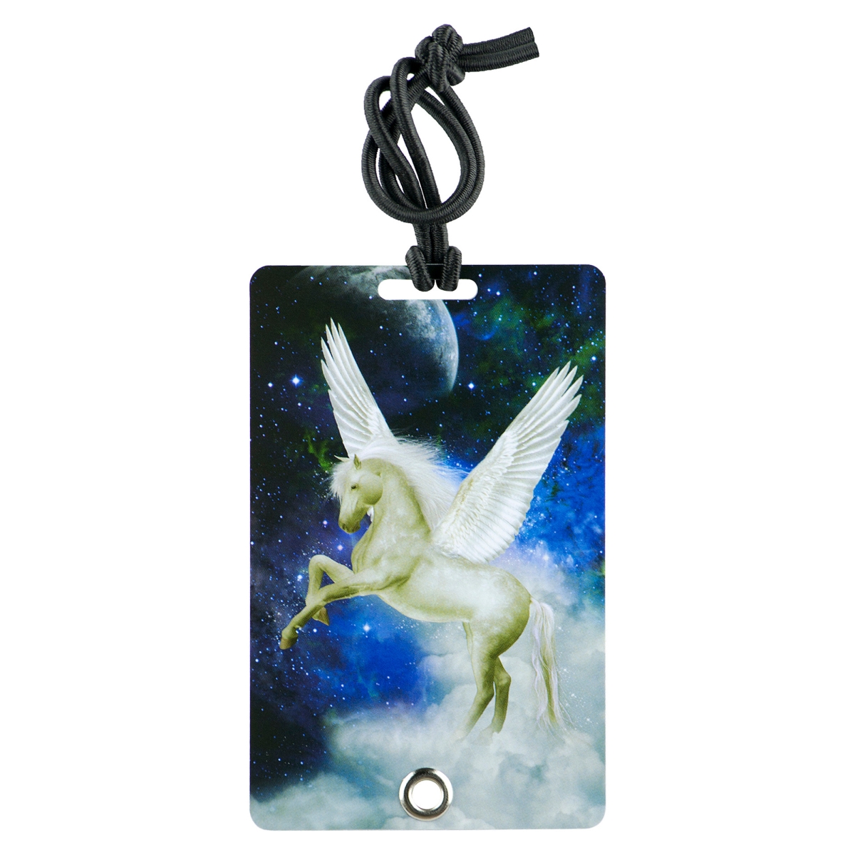 2050 Stylish & Secure Luggage Tag for Backpacks Pet Carriers & More - Pegasus