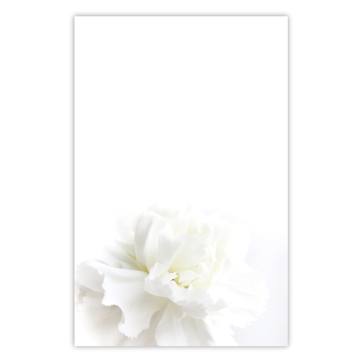 5017 5.5 x 8.5 in. 70 lbs 50 Sheet Organize with Style Illustrated Notepad for Daily Planning & To Do Lists - Pure White