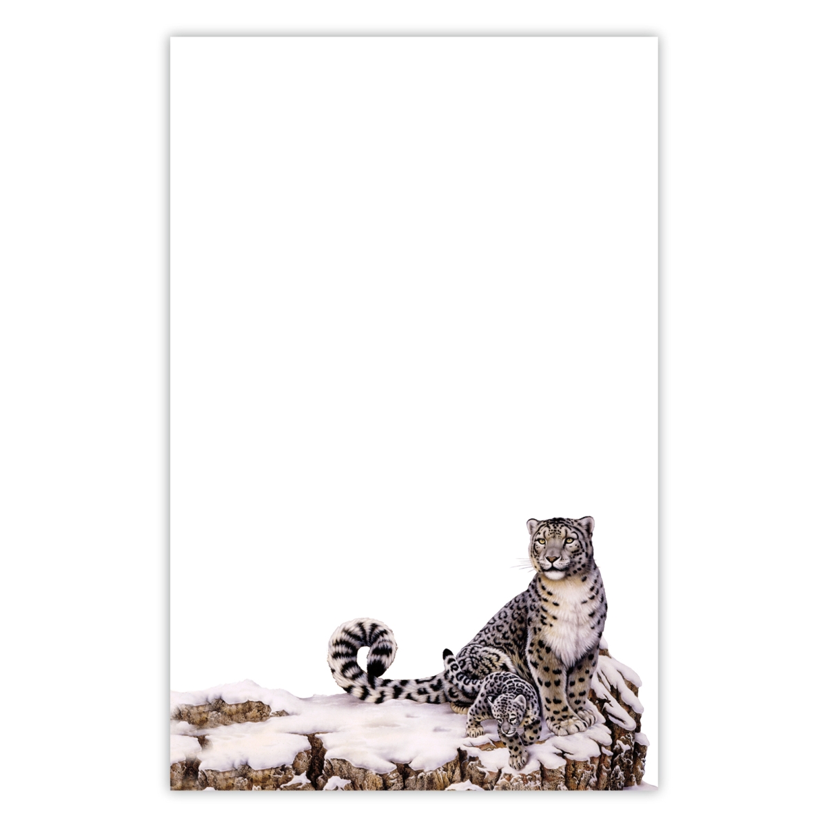 5020 5.5 x 8.5 in. 70 lbs 50 Sheet Organize with Style Illustrated Notepad for Daily Planning & To Do Lists - Snow Leopard