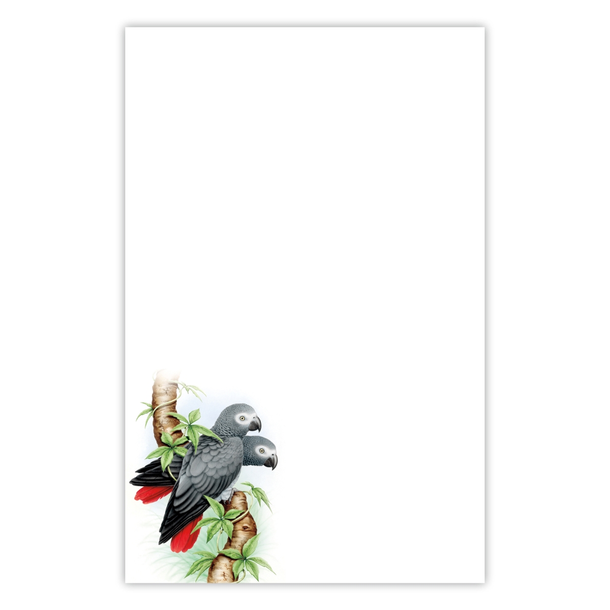 5028 5.5 x 8.5 in. 70 lbs 50 Sheet Organize with Style Illustrated Notepad for Daily Planning & To Do Lists - African Gray