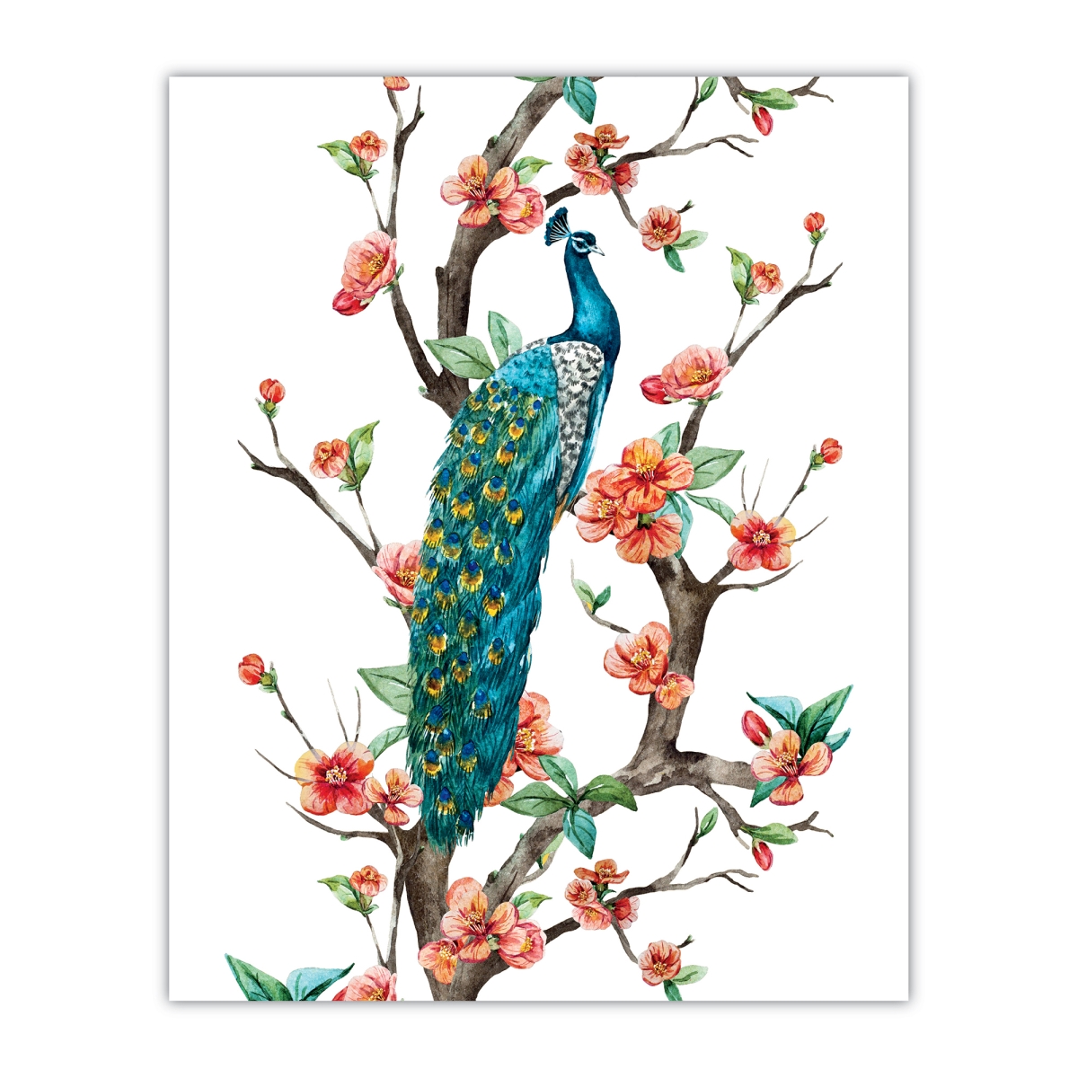 Vibrant Peacock Wall Art - 8 x 10 in. - Canvas Texture Cardstock - USA Made