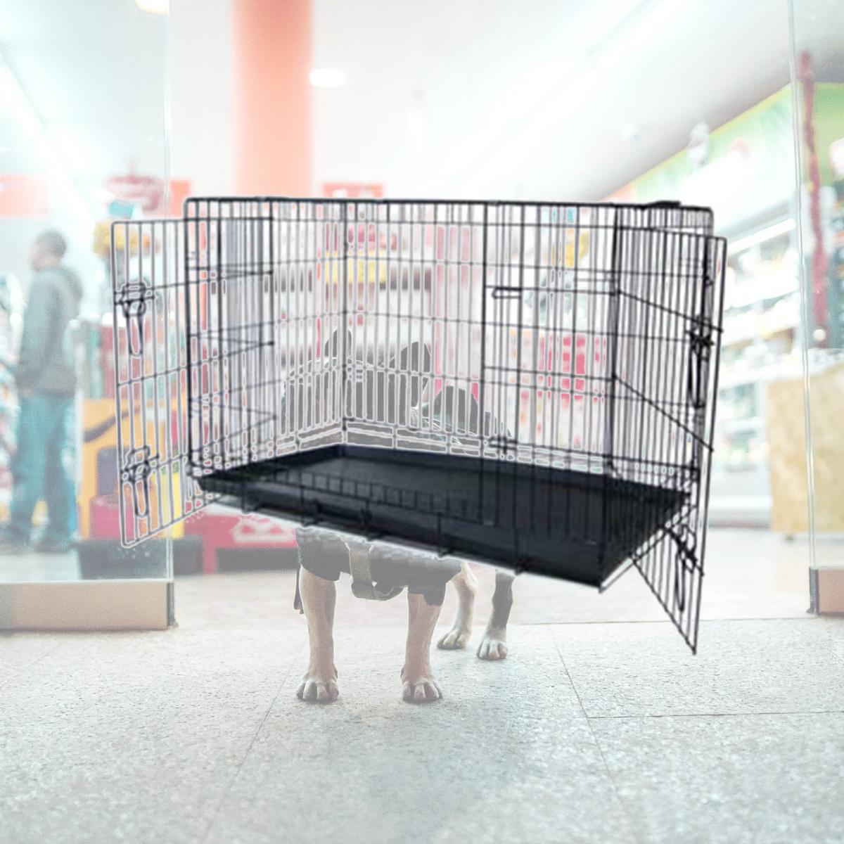 Picture of YML Group DSA30 - Small Animal Cage With Double Doors - Black - 30 x 21 x 24 Inches