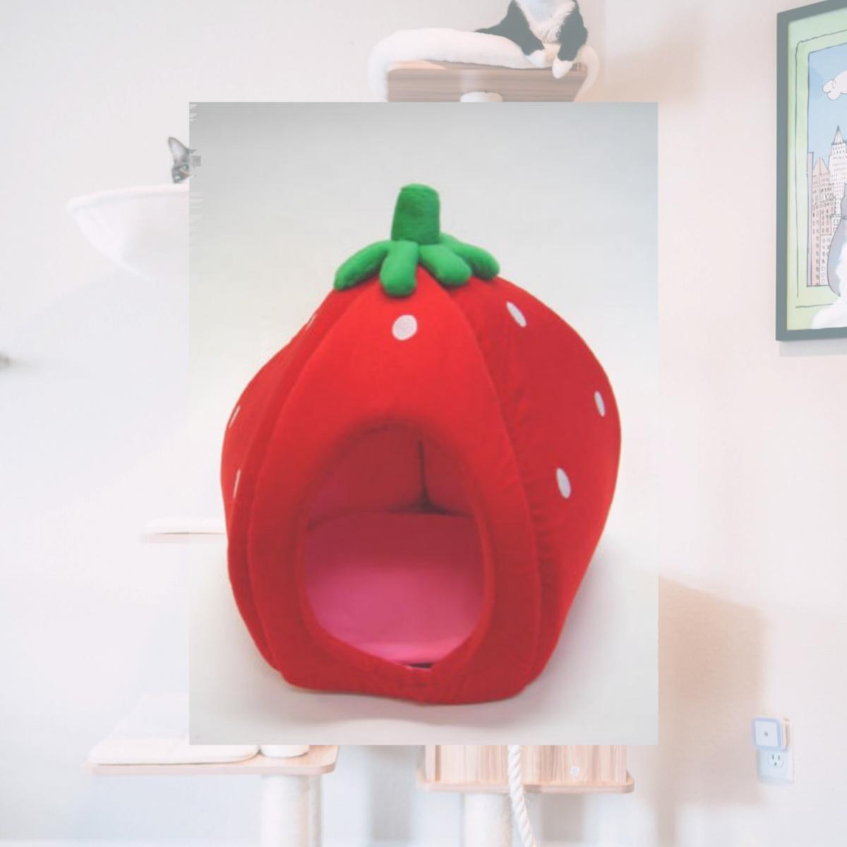 Picture of YML FH016-2 Strawberry Pet Bed - Medium