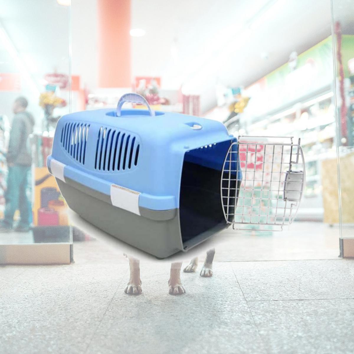 Picture of YML Z100S-BL Small Plastic Carrier in Blue