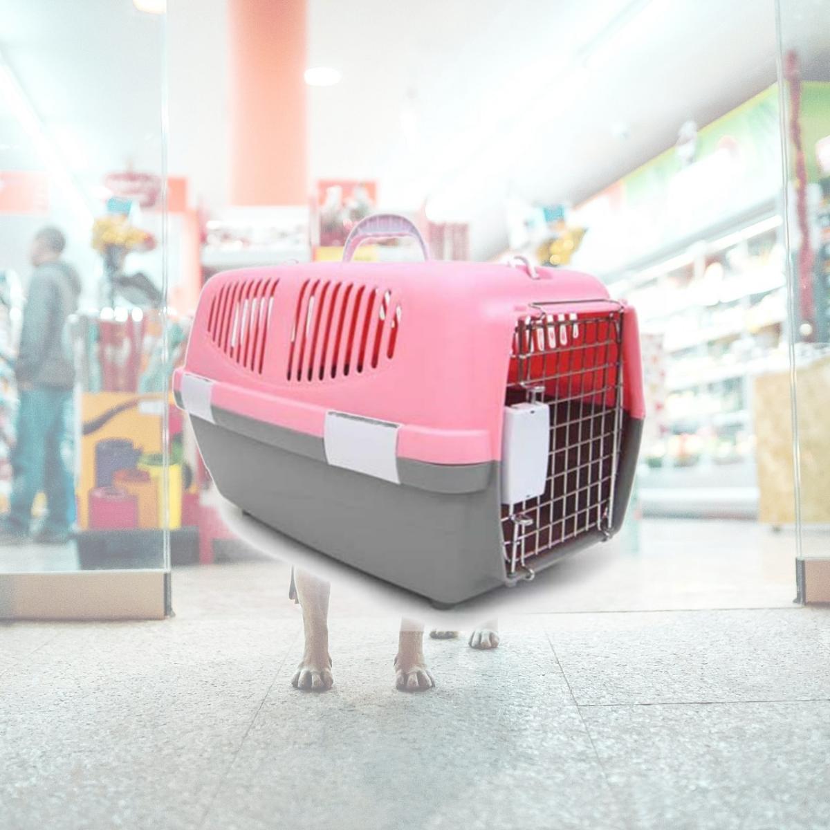 Picture of YML Z100S-PK Small Plastic Carrier in Pink