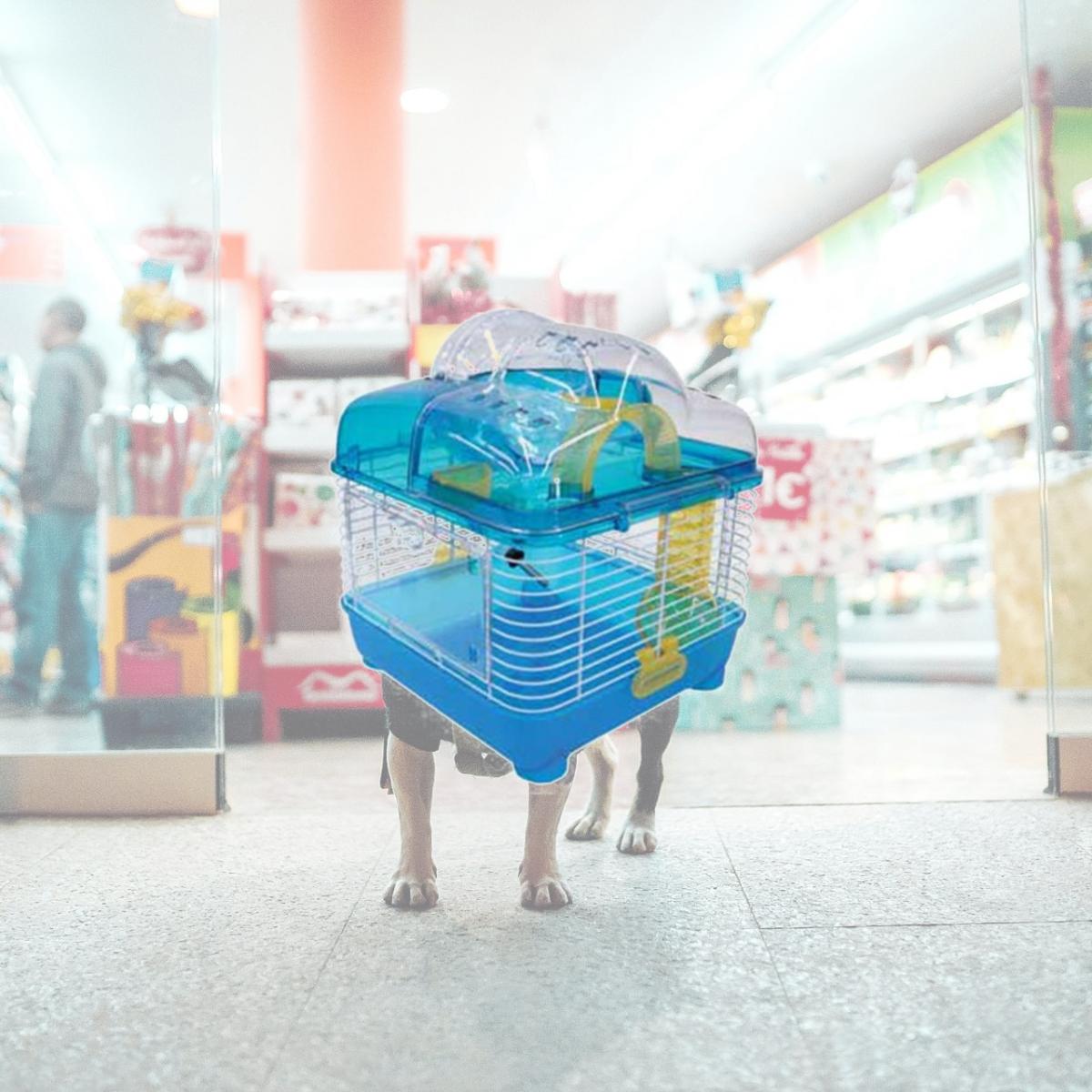 Picture of YML H1010BL 10 in. Clear Plastic Hamster-Mice Cage in Blue