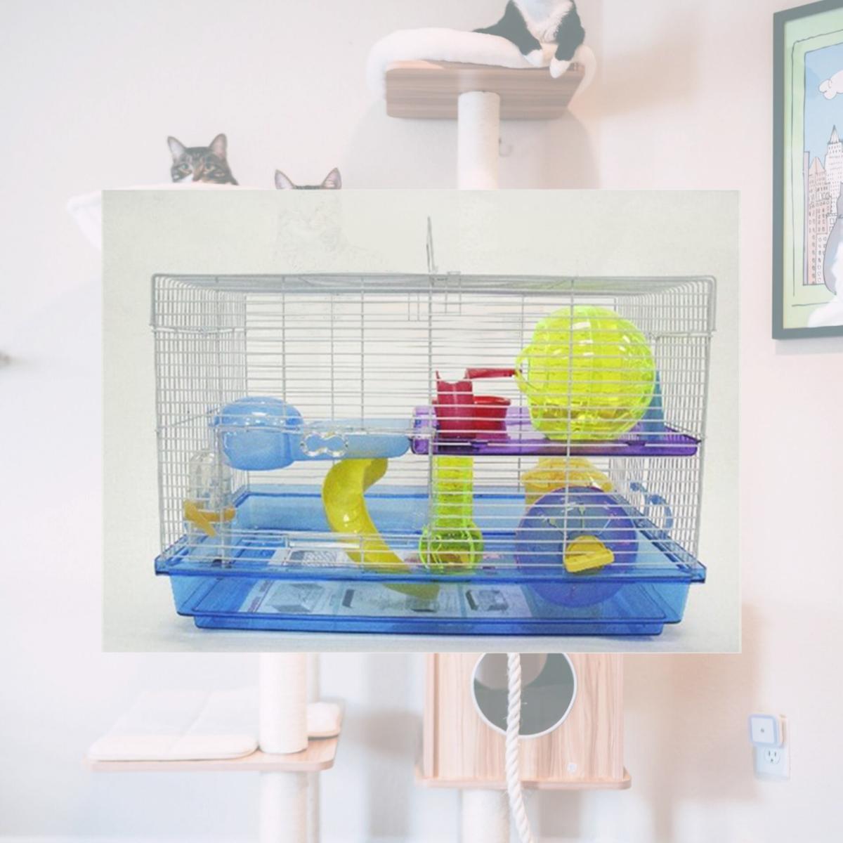 Picture of YML H1812BL 12 in. Clear Plastic Hamster-Mice Cage in Blue