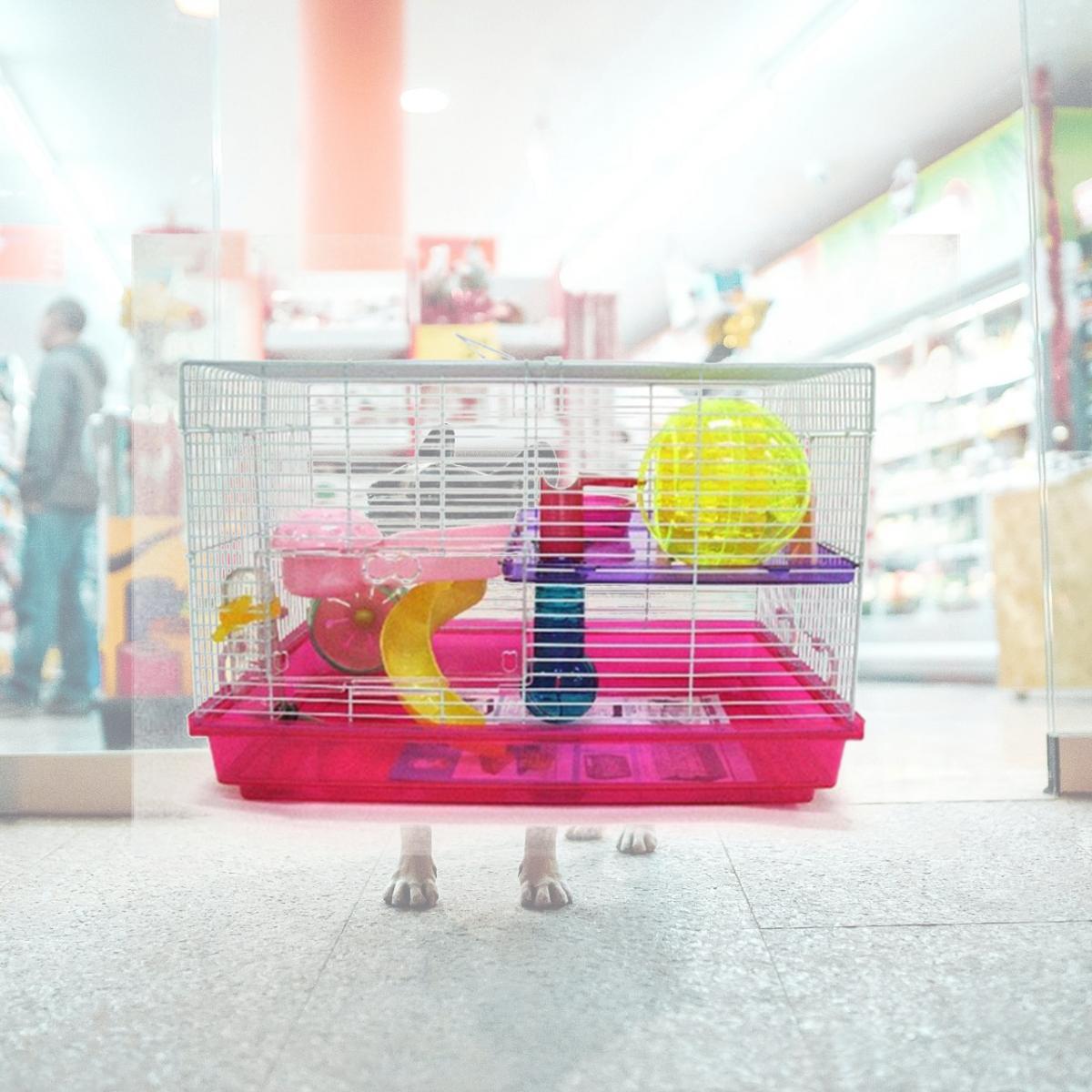 Picture of YML H1812PK 12 in. Clear Plastic Hamster-Mice Cage in Pink