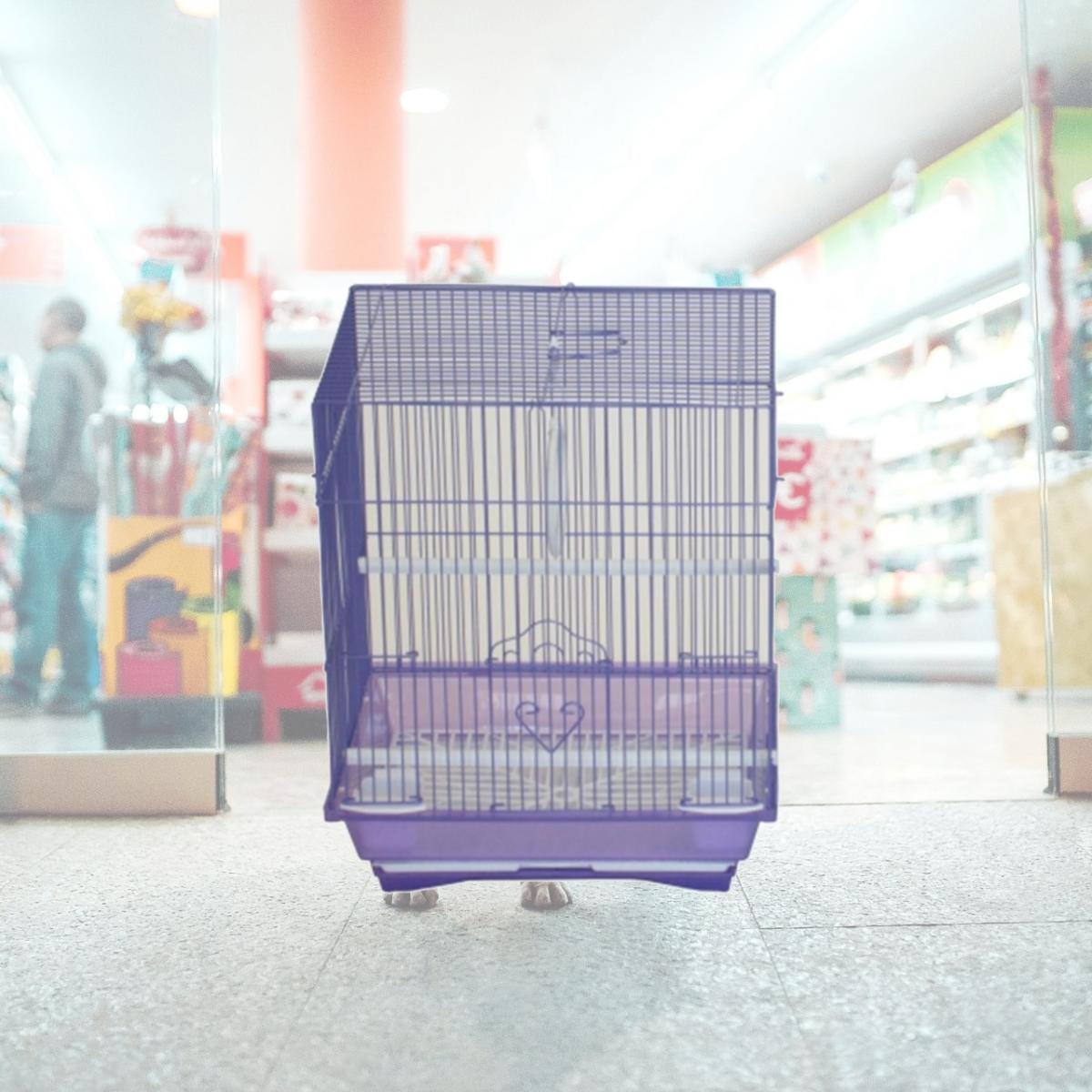 Picture of YML Group A1324MPUR 13.3 x 10.8 x 16.5 in. Flat Top Medium Parakeet Cage, Purple