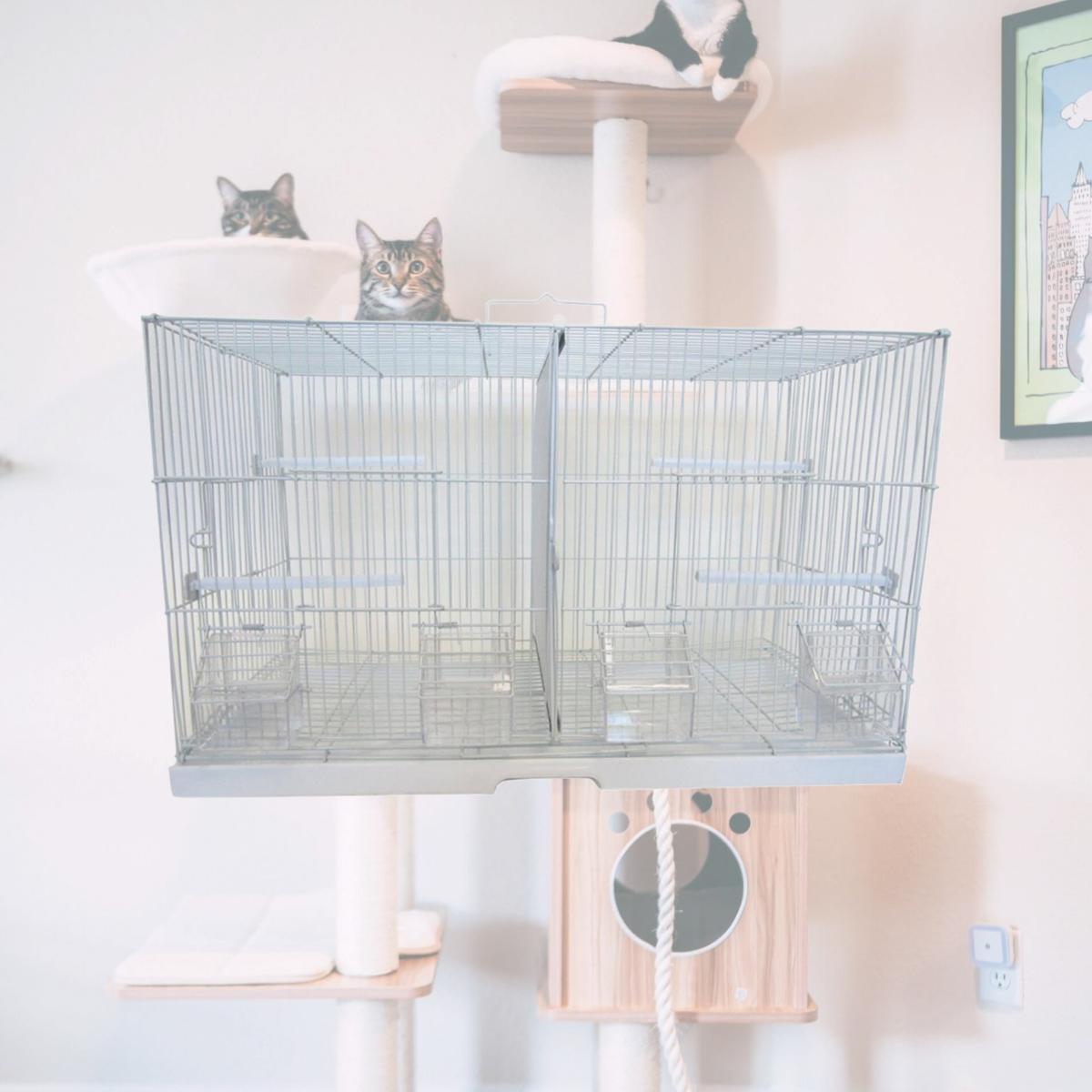 Picture of YML 2414WHT 0.37 in. Canary Finch Breeding Cage, White - Small