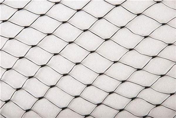 14 x 14 ft. Economy Pond Net
