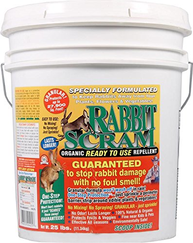 Picture of Enviro Protection EP11025 25.0 lbs Rabbit Scram White Pail