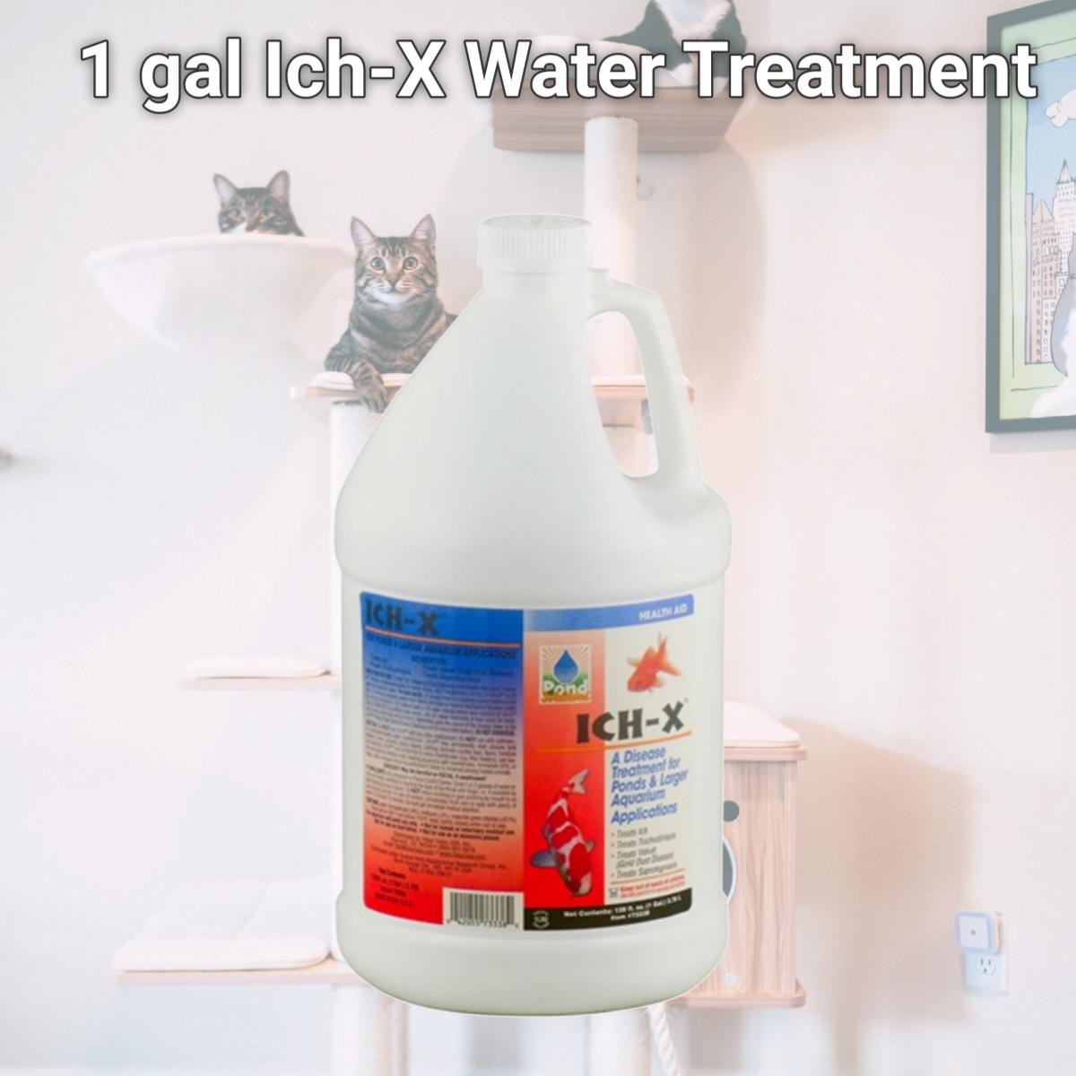 Picture of Hikari HIK73338 1 gal Ich-X Water Treatment