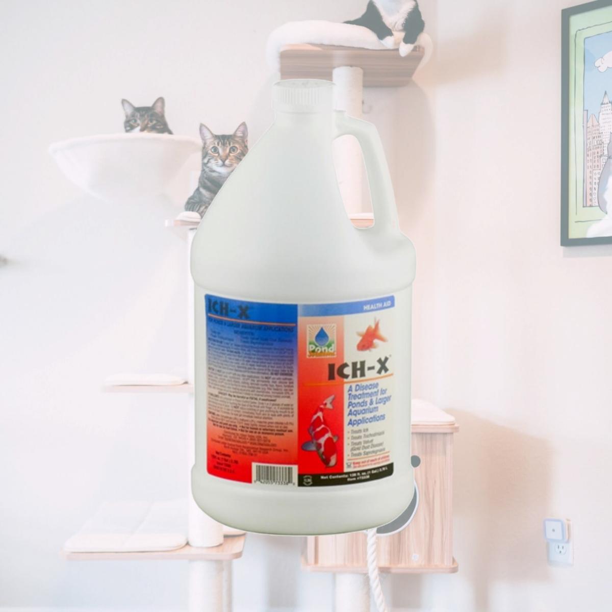 Picture of Hikari HIK73338 1 gal Ich-X Water Treatment