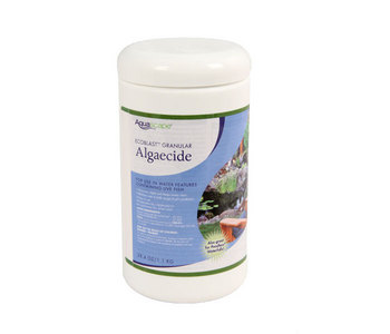 38.4 oz Ecoblast Contact Granular Algaecide