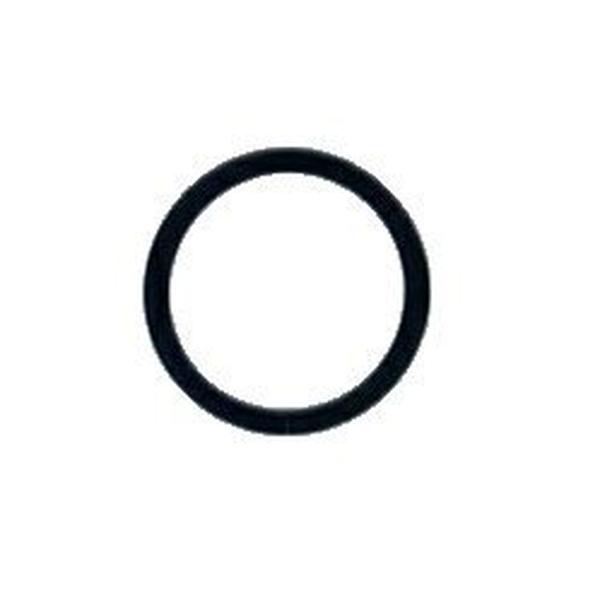 2 in. Union O-Ring