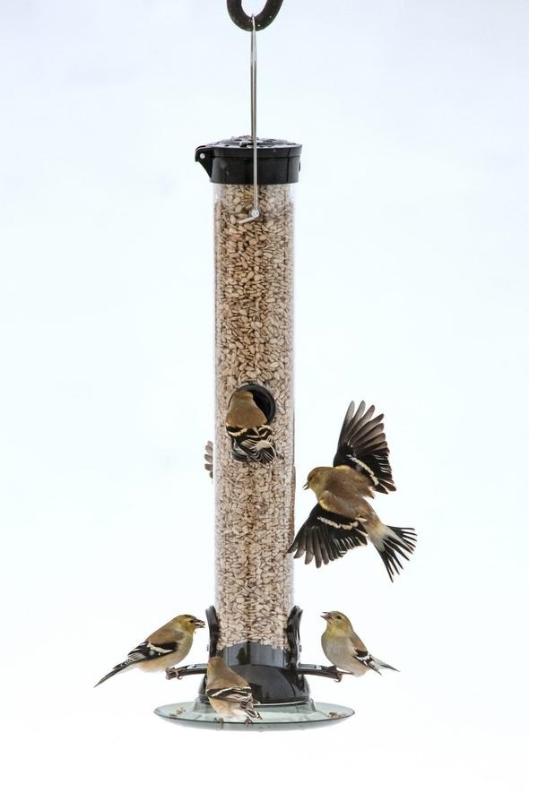 DYCC18S 18 in. 4-Port Sunflower Mixed Seed Feeder with Removeable Base