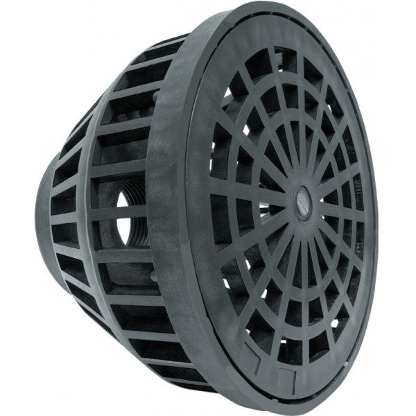 2 in. FPT Polypropylene Basket Suction Strainer