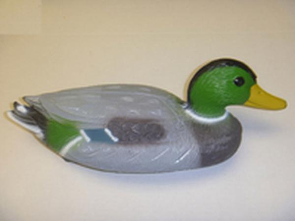 Female Mallard Duck