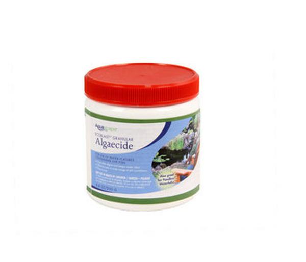 AQS29311 8.8 oz White EcoBlast Solid Granular Contact Algaecide