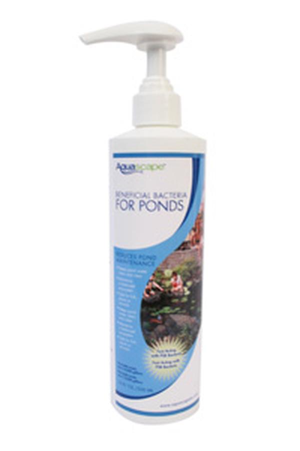AQS98887 16.9 oz Ponds Bacteria Liquid