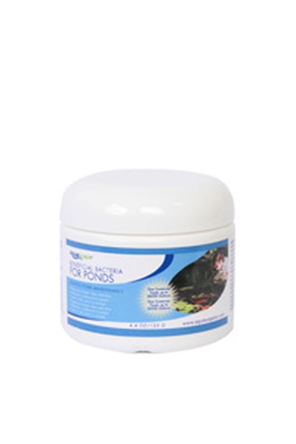 AQS98925 4.4 oz Ponds Dry Bacteria
