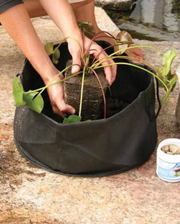 14 x 7 in. Waterlily Aquatic Fabric Pot Planter - Pack of 2