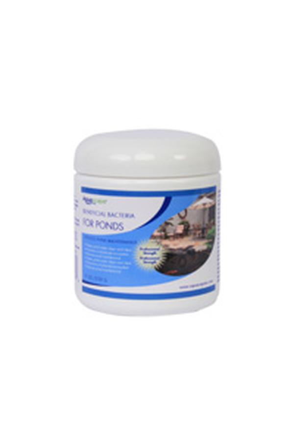 AQS98948 8.8 oz Ponds Dry Bacteria