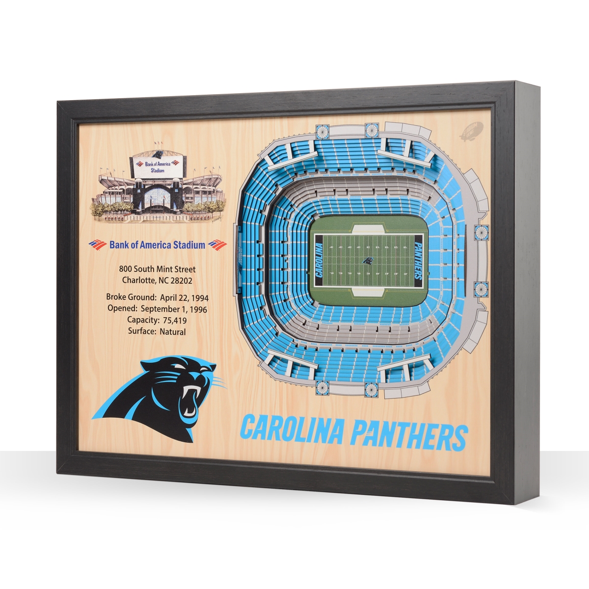 Carolina Panthers - Bank of America Stadium Wall Art