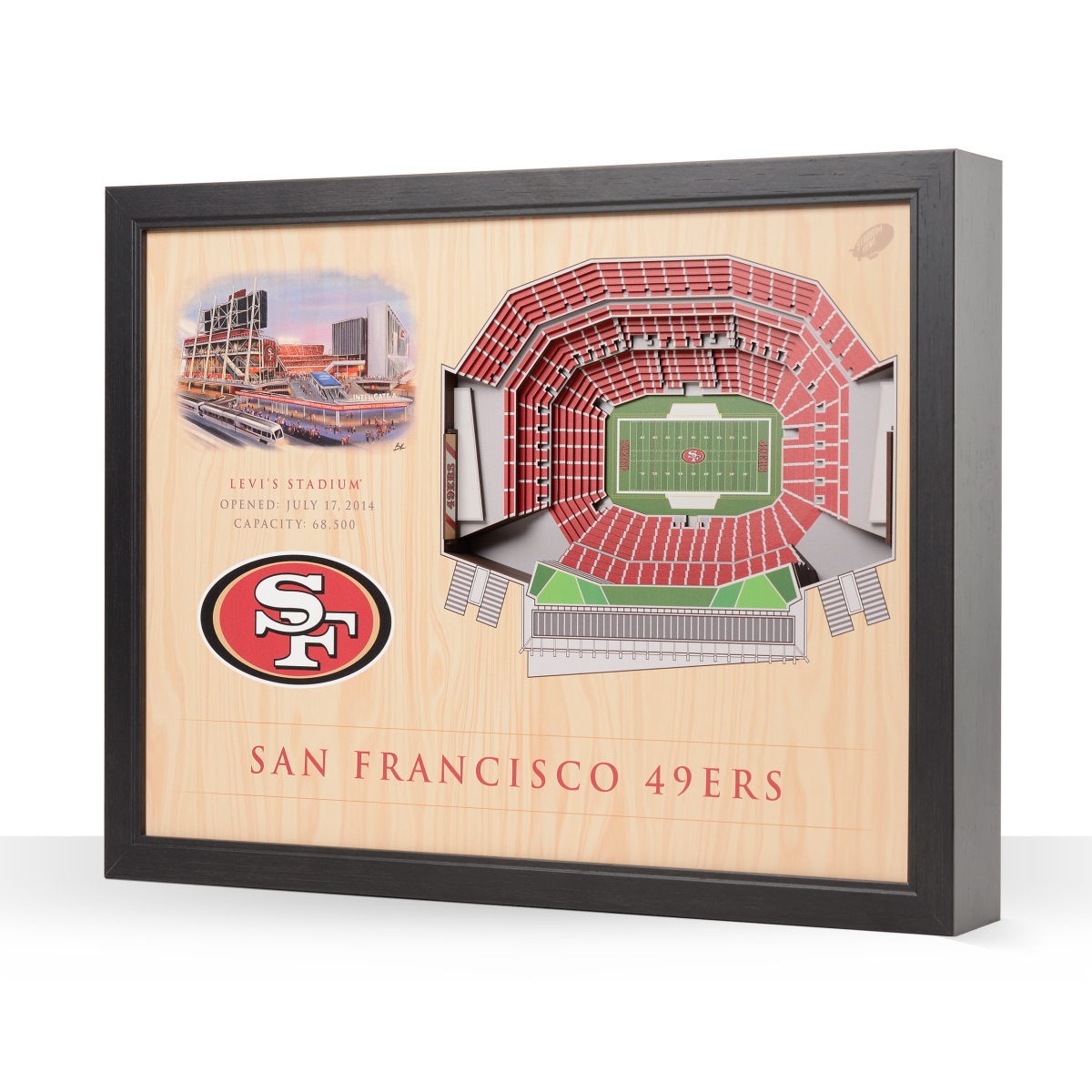 NFL 3D Stadium Wall Art - San Francisco 49ers