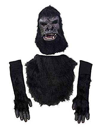 ZAGONE STUDIOS