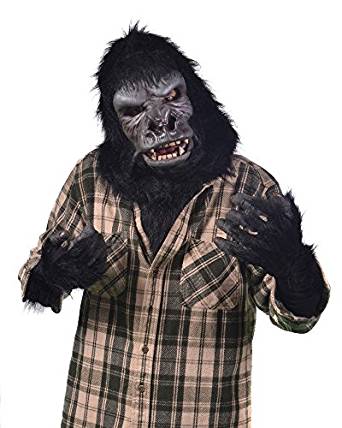 ZAGONE STUDIOS