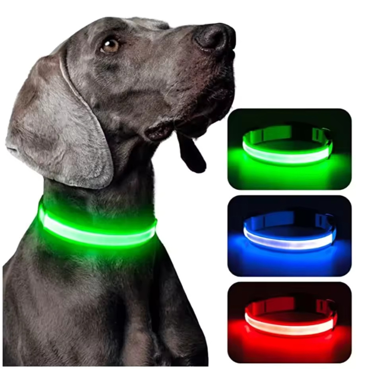 BK5938 Luminous Anti-lost Glowing LED Light Pet Collar for Small, Medium & Large Dogs - Pack of 3